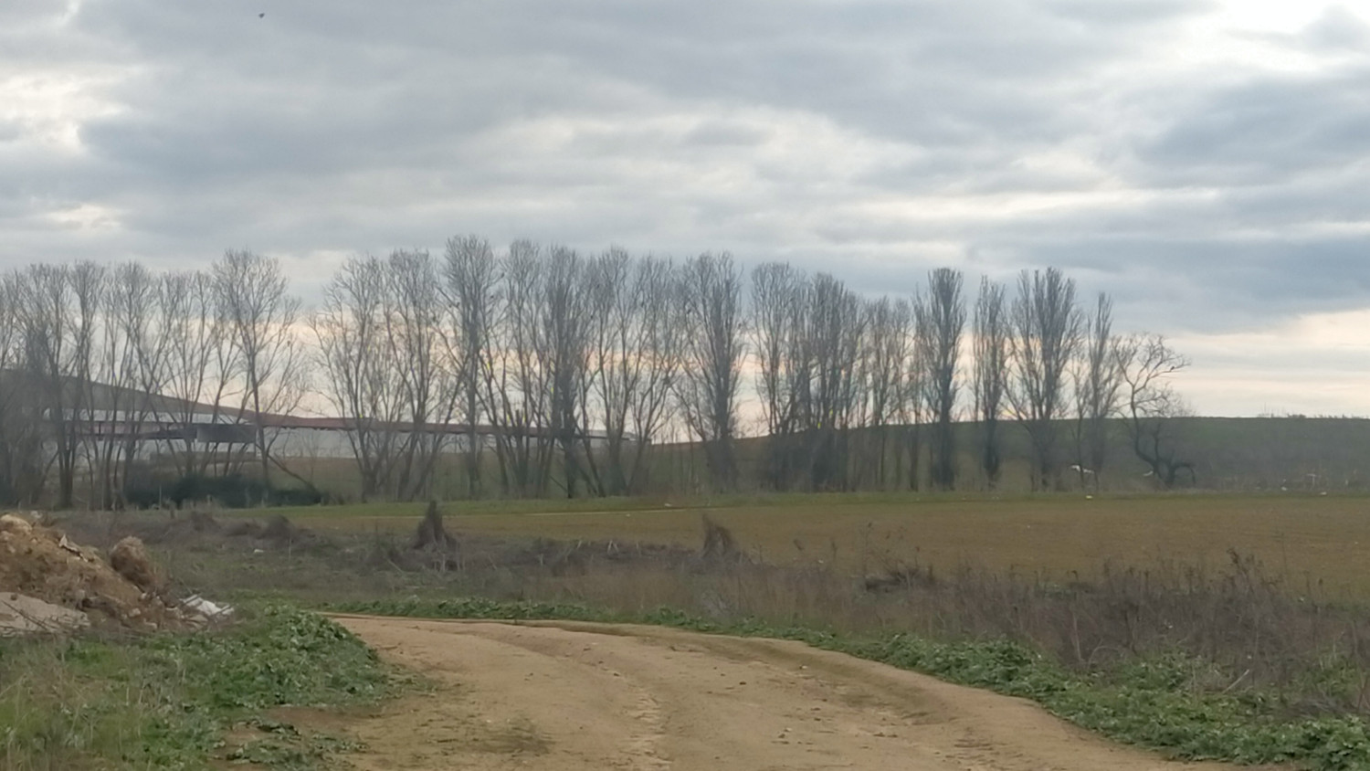 Fuensaldaña (2025). Censo de dormideros de milano real (Milvus milvus) en Valladolid