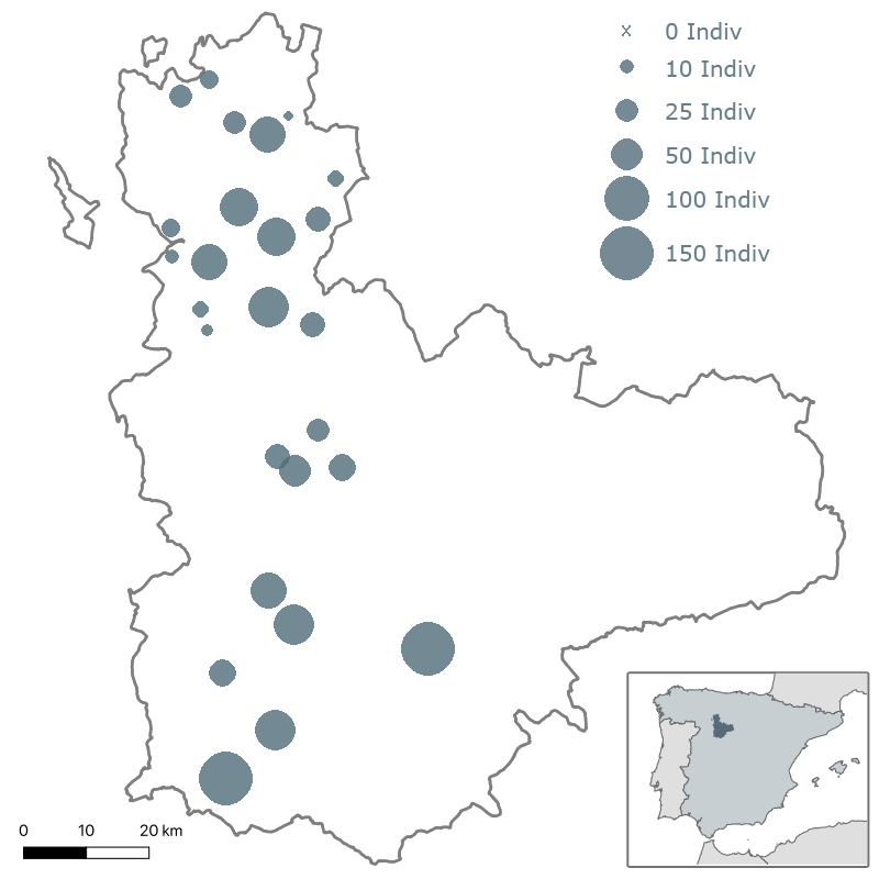 1er Censo milano real en Valladolid. Invierno 2000-2001. SEO/Valladolid