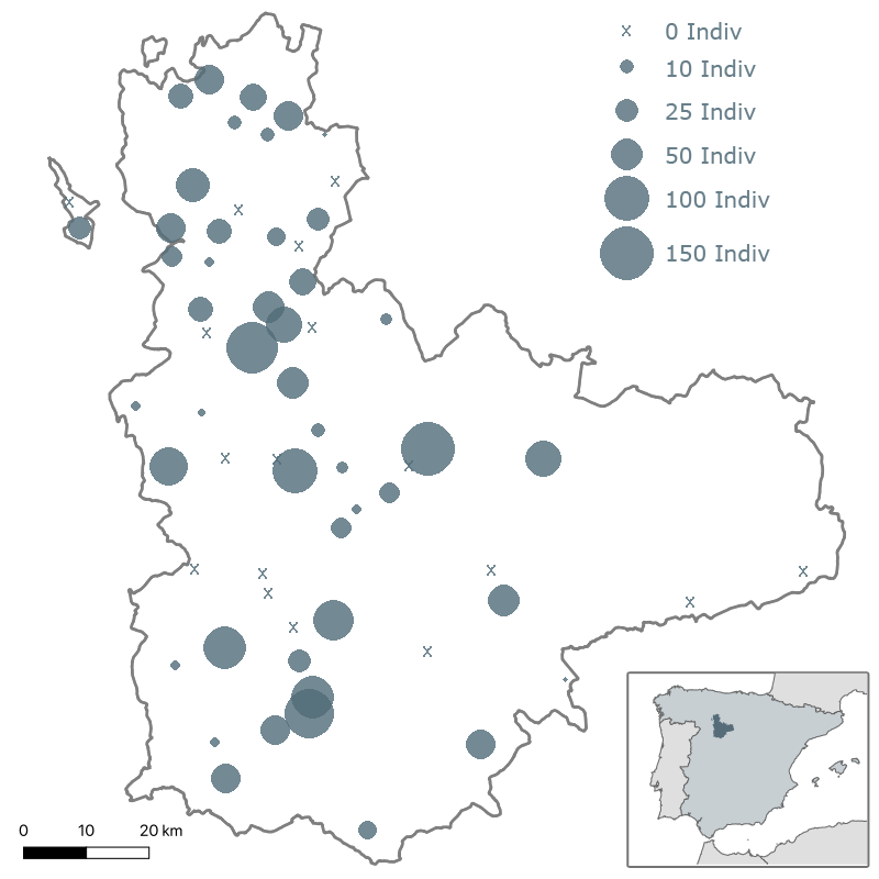 6º Censo milano real en Valladolid. Invierno 2013-2014. ACENVA
