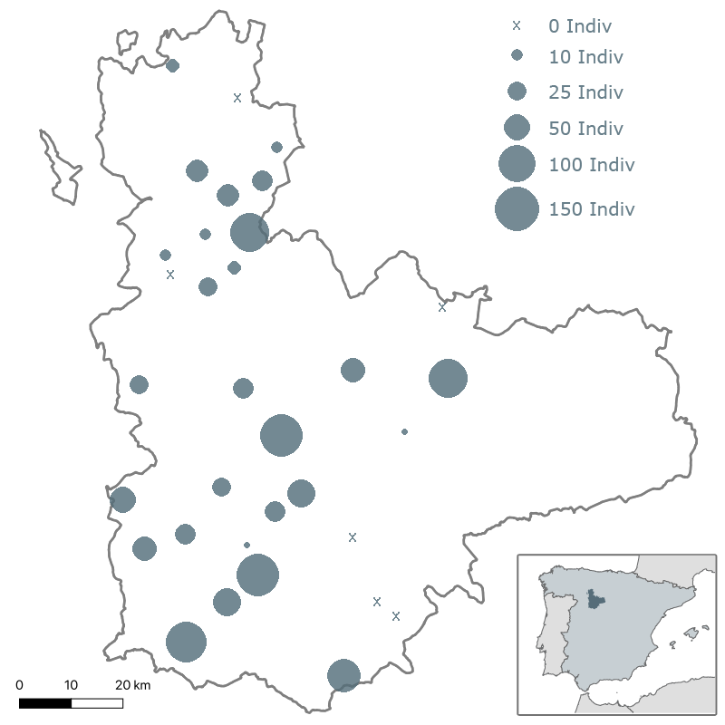I Muestreo de dormideros de milano real (Milvus milvus) en Valladolid Enero 2019