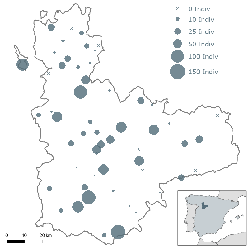 III Muestreo de dormideros de milano real (Milvus milvus) en Valladolid. Enero 2021