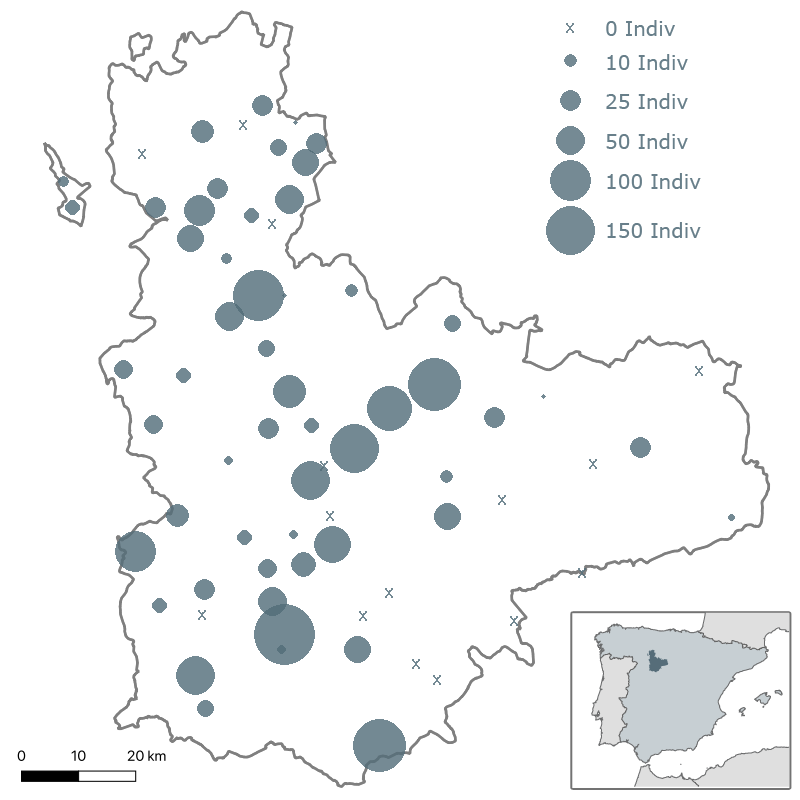 IV Muestreo de dormideros de milano real (Milvus milvus) en Valladolid. Enero 2022