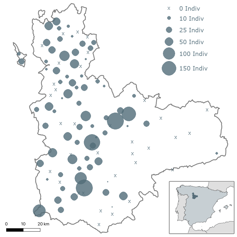 VI Muestreo de dormideros de milano real (Milvus milvus) en Valladolid. Enero 2024