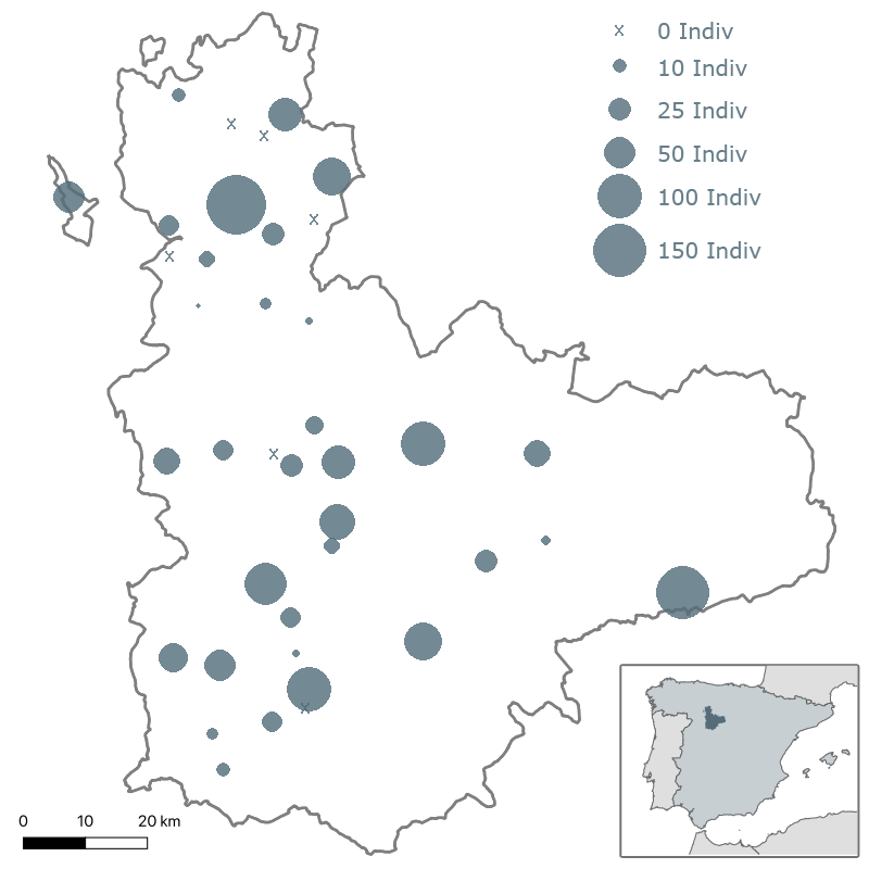 3er Censo milano real en Valladolid. Invierno 2002-2003. SEO/Valladolid