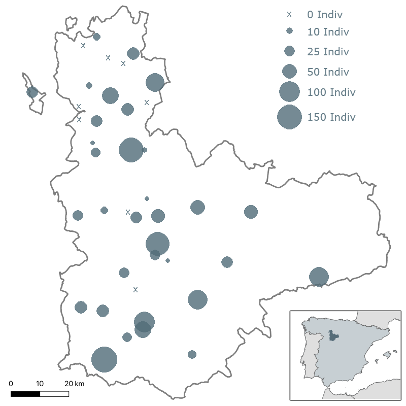 4º Censo milano real en Valladolid. Invierno 2003-2004. SEO/Valladolid