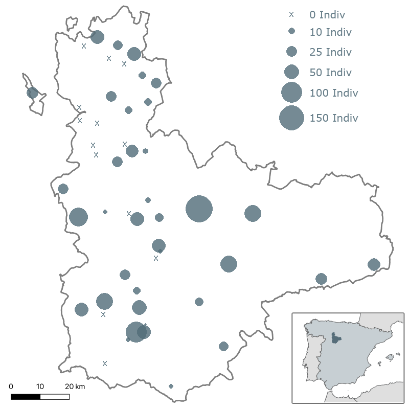 1er Censo milano real en Valladolid. Invierno 2008-2009. ACENVA