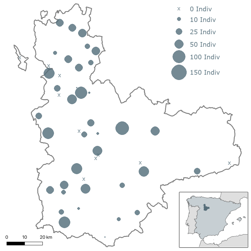 2º Censo milano real en Valladolid. Invierno 2009-2010. ACENVA