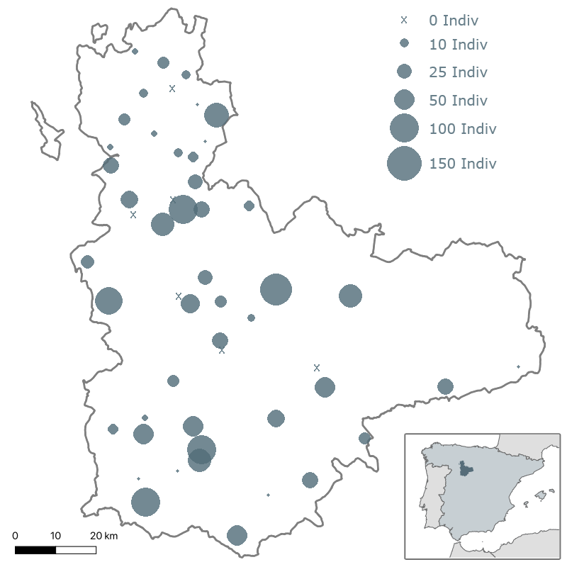 3º Censo milano real en Valladolid. Invierno 2010-2011. ACENVA