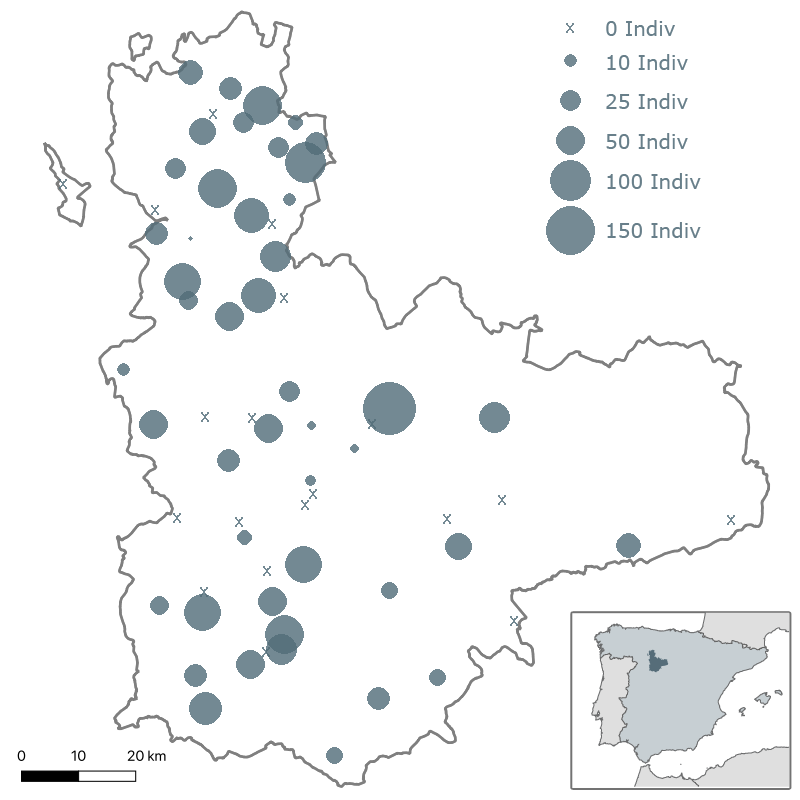 4º Censo milano real en Valladolid. Invierno 2011-2012. ACENVA