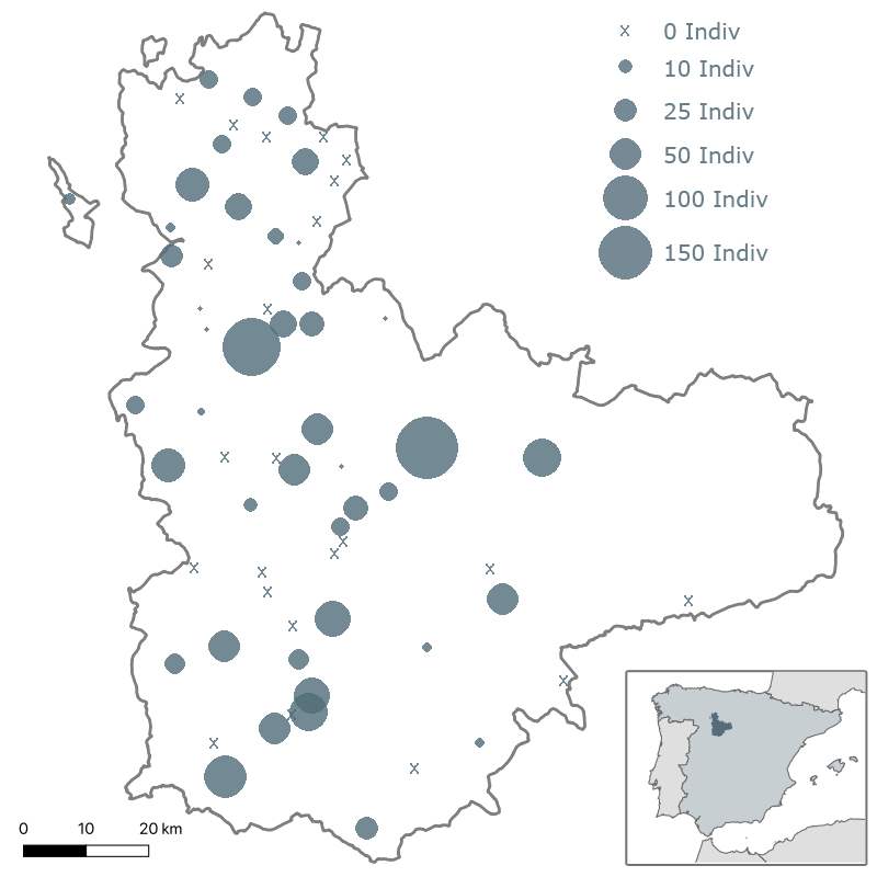 5º Censo milano real en Valladolid. Invierno 2012-2013. ACENVA