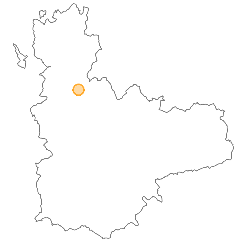 Localización del dormidero Medina de Rioseco